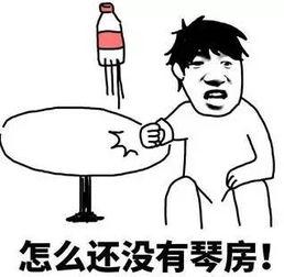 钢琴课表情包,趣味横生的音乐学习瞬间